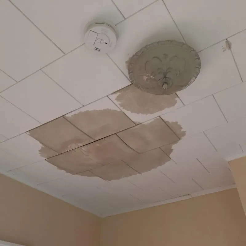 Ceiling Water Damage Repair in Loudonville, OH