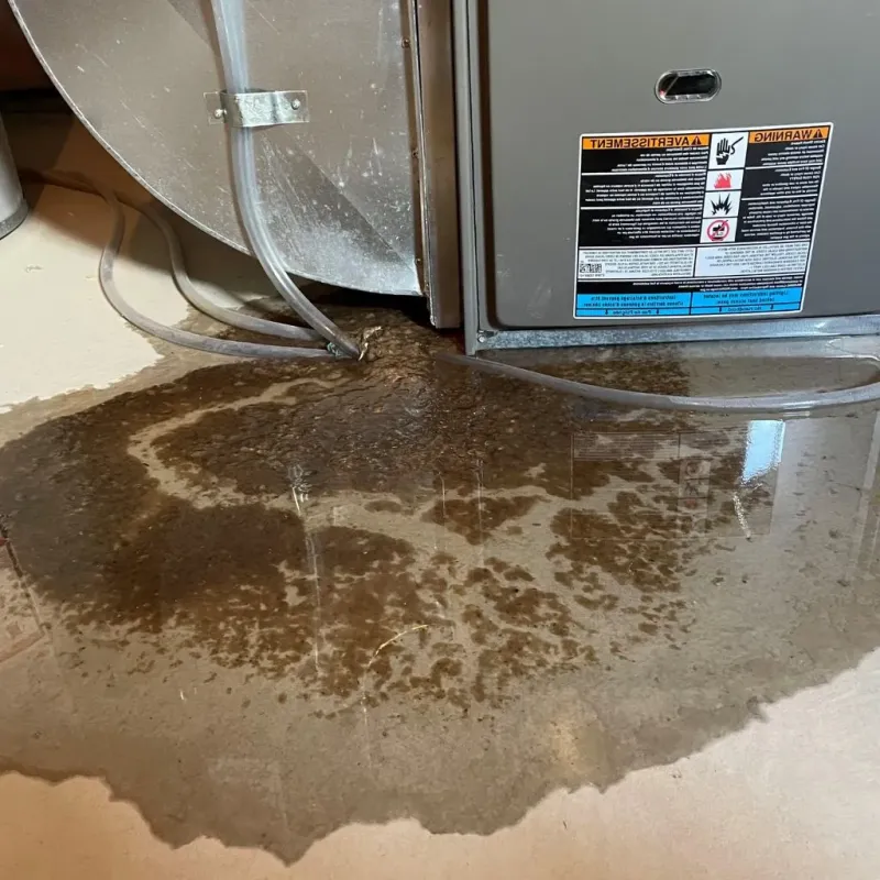 Pipe Burst and Leak Restoration in Loudonville, OH