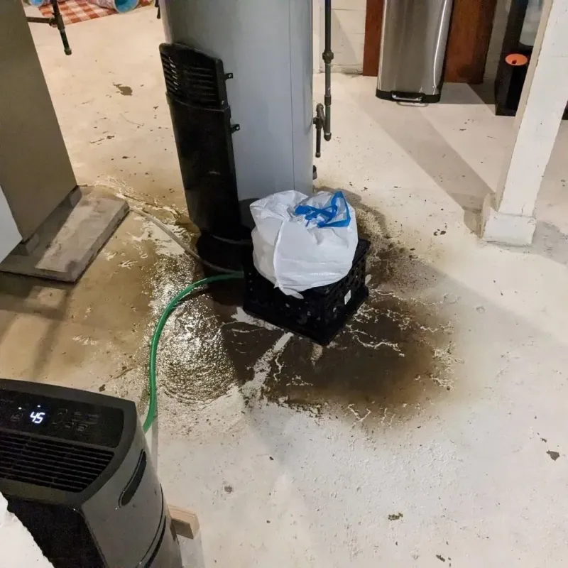 Sewage Backup Cleanup Service in Loudonville, OH
